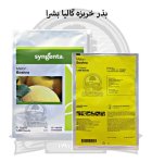 بذر خربزه گالیا بشرا سینجنتا در گروه خرید و فروش بذر خربزه در یکمیوه