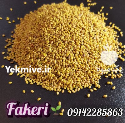 صادرات بذر یونجه فروش بذر قره در گروه خرید و فروش بذر یونجه در یکمیوه -عکس1