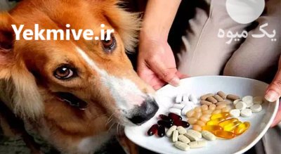 خرید مکمل و مولتی ویتامین سگ در گروه دارو و داروخانه در یکمیوه -عکس1