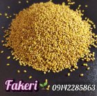 صادرات بذر یونجه فروش بذر قره در گروه خرید و فروش بذر یونجه در یکمیوه