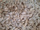تخمه کدو گوشتی در شیراز