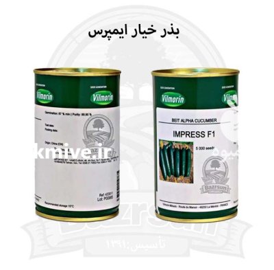 بذر خیار ایمپرس در ارومیه در گروه خرید و فروش بذر خیار در یکمیوه -عکس1