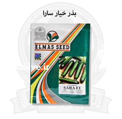 بذر خیار سارا در ارومیه در گروه خرید و فروش بذر خیار در یکمیوه -عکس1