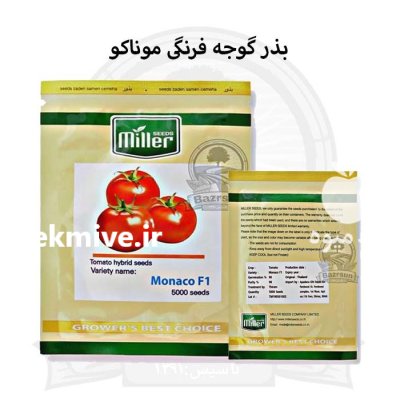 بذر گوجه فرنگی موناکو در ارومیه در گروه خرید و فروش بذر گوجه در یکمیوه -عکس1