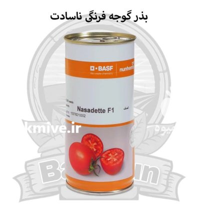 بذر گوجه فرنگی ناسادت در ارومیه در گروه خرید و فروش بذر گوجه در یکمیوه -عکس1