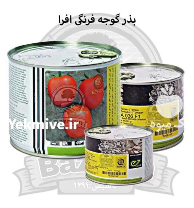 بذر گوجه فرنگی افرا در ارومیه در گروه خرید و فروش بذر گوجه در یکمیوه -عکس1