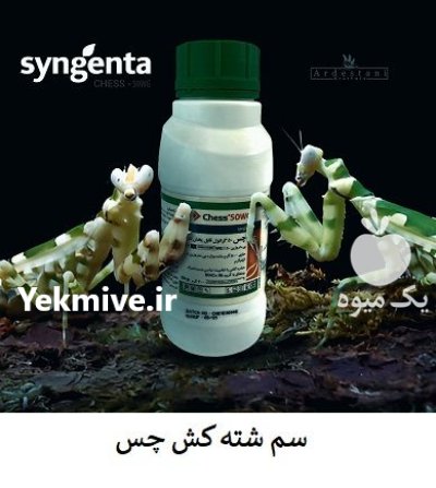 فروش سم چس syngenta سوئیس درجه 1 در اهواز در گروه خرید و فروش انواع سم در یکمیوه -عکس1