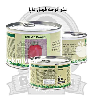 بذر گوجه فرنگی دایا رقم هیبرید در ارومیه در گروه خرید و فروش بذر گوجه در یکمیوه -عکس1