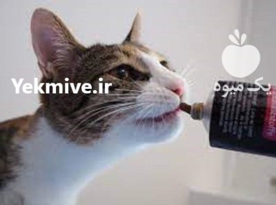 خرید خمیر مالت و مکمل تقویتی در گروه دارو و داروخانه در یکمیوه -عکس1