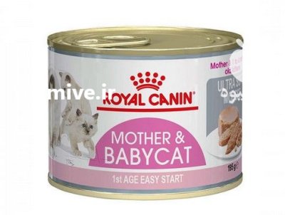 کنسرو مادر و بچه گربه رویال در کرج در گروه حیوانات خانگی در یکمیوه -عکس1