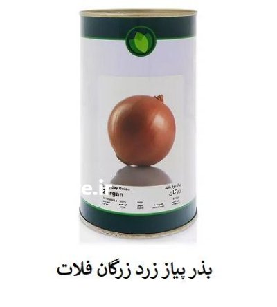 فروش بذر پیاز زرد Zargan فلات در اهواز در گروه خرید و فروش بذر پیاز در یکمیوه -عکس1
