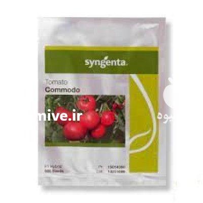 بذر گوجه فرنگی گلخانه ای کومودو در بندرعباس در گروه خرید و فروش بذر گوجه در یکمیوه -عکس1