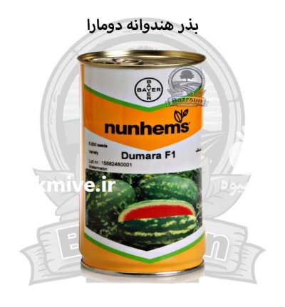 بذر هندوانه دومارا نانهمز در ارومیه در گروه خرید و فروش بذر هندوانه در یکمیوه -عکس1