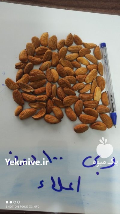 مغز بادام مامایی در اصفهان در گروه خرید و فروش بادام در یکمیوه -عکس1