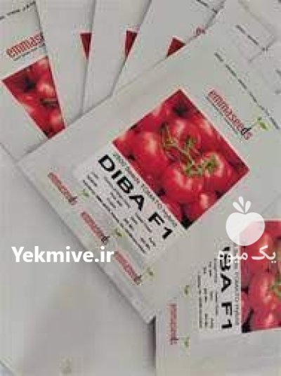 بذر گوجه فرنگی دیبا در گروه خرید و فروش انواع بذر در یکمیوه -عکس1