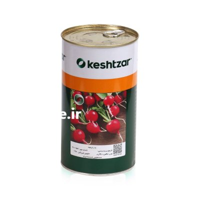 بذر تربچه نقلی کشتزار در چاه بهار در گروه خرید و فروش بذر سبزی در یکمیوه -عکس1