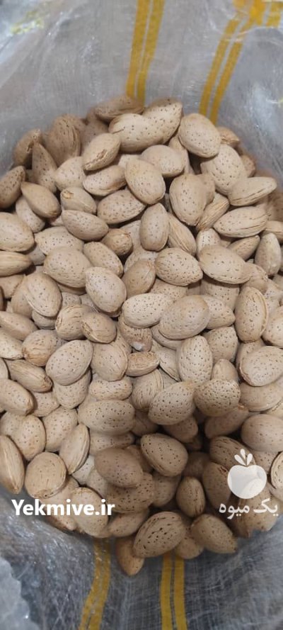 پوست بادام در تهران در گروه خرید و فروش بادام در یکمیوه -عکس1