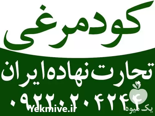 فروش کود مایع مرغی پلت مرغی در اهواز در گروه خرید و فروش کود مرغی در یکمیوه -عکس1