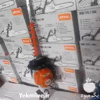 قیمت خرید شمشاد زن اشتیل در کرج در گروه خرید و فروش شمشاد زن در یکمیوه