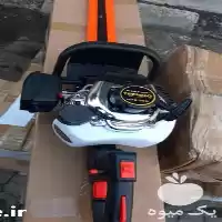 قیمت خرید شمشاد زن تکنو در کرج در گروه خرید و فروش شمشاد زن در یکمیوه