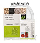 بذر گوجه فرنگی هیبرید پلاترو در ارومیه در گروه خرید و فروش بذر گوجه در یکمیوه