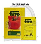 بذر گوجه فرنگی طلا در گروه خرید و فروش بذر گوجه در یکمیوه