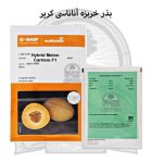 بذر خربزه آناناسی کریر نانهمز در ارومیه در گروه خرید و فروش بذر خربزه در یکمیوه