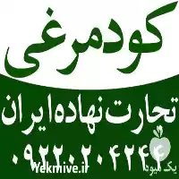 فروش کود مایع مرغی پلت مرغی در اهواز در گروه خرید و فروش کود مرغی در یکمیوه