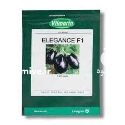 بذر بادمجان دلمه الگانس در بوشهر در گروه خرید و فروش بذر بادمجان در یکمیوه -عکس1