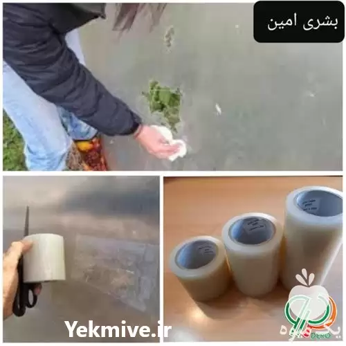 قیمت خرید چسب مخصوص نایلون گلخانه در تهران در گروه خرید و فروش انواع پوشش ها در یکمیوه -عکس1