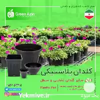 تولید فروش گلدان پلاستیکی درجه یک در گروه خرید و فروش گیاهان زینتی در یکمیوه