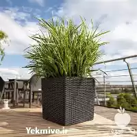 فلاورباکس pvc در تهران در گروه خرید و فروش گیاهان زینتی در یکمیوه