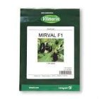 بذر بادمجان میروال ویلمورین در آبادان در گروه خرید و فروش بذر بادمجان در یکمیوه