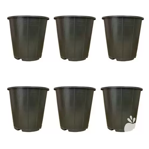 فروش گلدان پلاستیکی گلخانه ای تمام در گروه خرید و فروش گیاهان زینتی در یکمیوه -عکس1