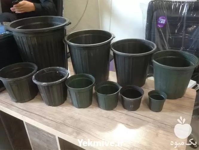 فروش گلدان گلخانه ای پلاستیکی مشکی در گروه خرید و فروش گیاهان زینتی در یکمیوه -عکس1