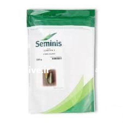 بذر کدو خورشتی کلاریتا در ایذه در گروه خرید و فروش بذر کدو در یکمیوه -عکس1