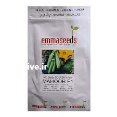 بذر کدو خورشتی ماهور در بندرعباس در گروه خرید و فروش بذر کدو در یکمیوه -عکس1