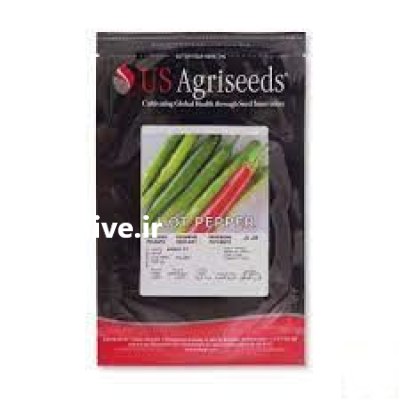 بذر فلفل قلمی کنزو در گروه خرید و فروش بذر فلفل در یکمیوه -عکس1