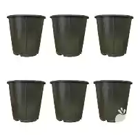 فروش گلدان پلاستیکی گلخانه ای تمام در گروه خرید و فروش گیاهان زینتی در یکمیوه