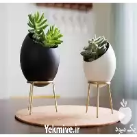 قیمت خرید گلدان زیره دار سرامیکی در تهران در گروه خرید و فروش گیاهان زینتی در یکمیوه