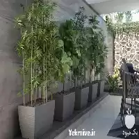 قیمت خرید فلاورباکس به همراه گیاه در تهران در گروه خرید و فروش گیاهان زینتی در یکمیوه