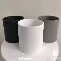 قیمت خرید گلدان سرامیکی استوانه قیمت در تهران در گروه خرید و فروش گیاهان زینتی در یکمیوه