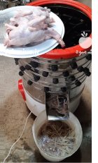 دستگاه پرکن مرغ و بلدرچین در کرج در گروه تجهیزات مرغداری در یکمیوه