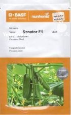 بذر خیار مینی سناتور در گروه خرید و فروش بذر خیار در یکمیوه