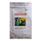 بذر کدو خورشتی ماهور در بندرعباس در گروه خرید و فروش بذر کدو در یکمیوه