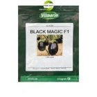 بذر بادمجان بلک مجیک در زاهدان در گروه خرید و فروش بذر بادمجان در یکمیوه