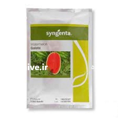 بذر هندوانه گالاتا در هرمزگان در گروه خرید و فروش بذر هندوانه در یکمیوه -عکس1