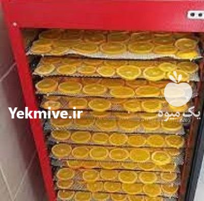 قیمت دستگاه خشک کن تونلی میوه در پاوه در گروه خرید و فروش دستگاه میوه خشک در یکمیوه -عکس1
