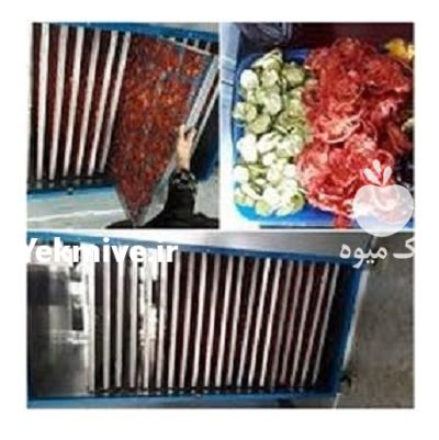 قیمت دستگاه خشک کن تونلی میوه در پاوه در گروه خرید و فروش دستگاه میوه خشک در یکمیوه -عکس3