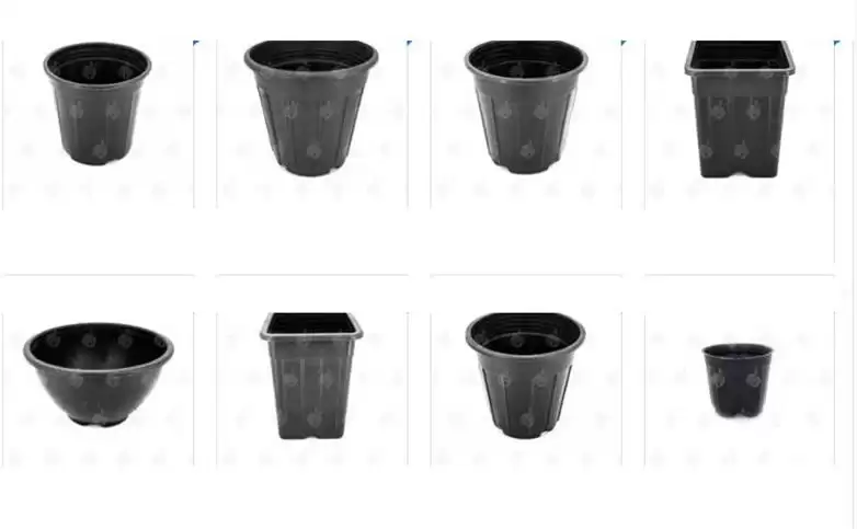 فروش گلدان کیسه ای بستر کشت در شیراز در گروه خرید و فروش گیاهان زینتی در یکمیوه -عکس1